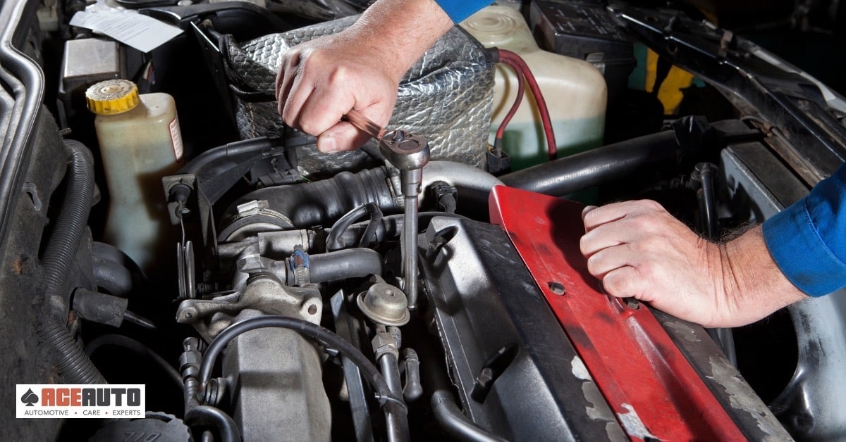 Top-Rated Oil Change Service Options Near Me  