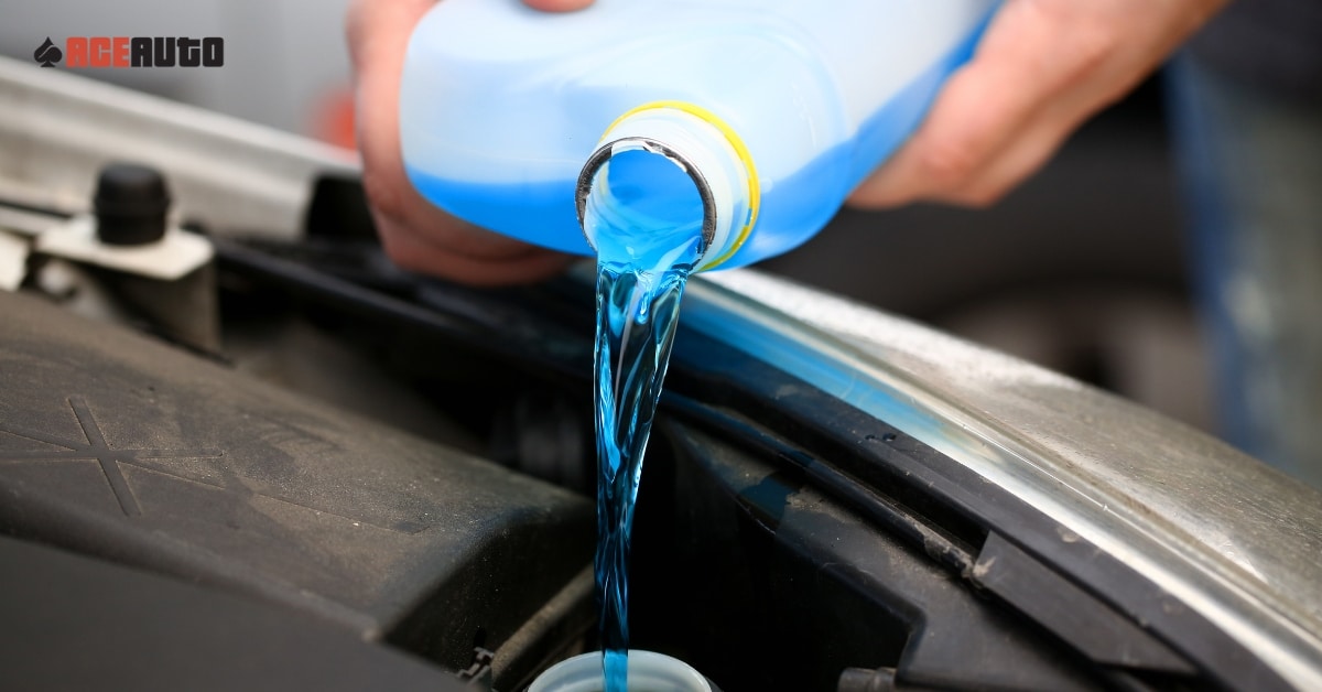 Mechanic inspecting car antifreeze fluid in a Utah auto repair shop