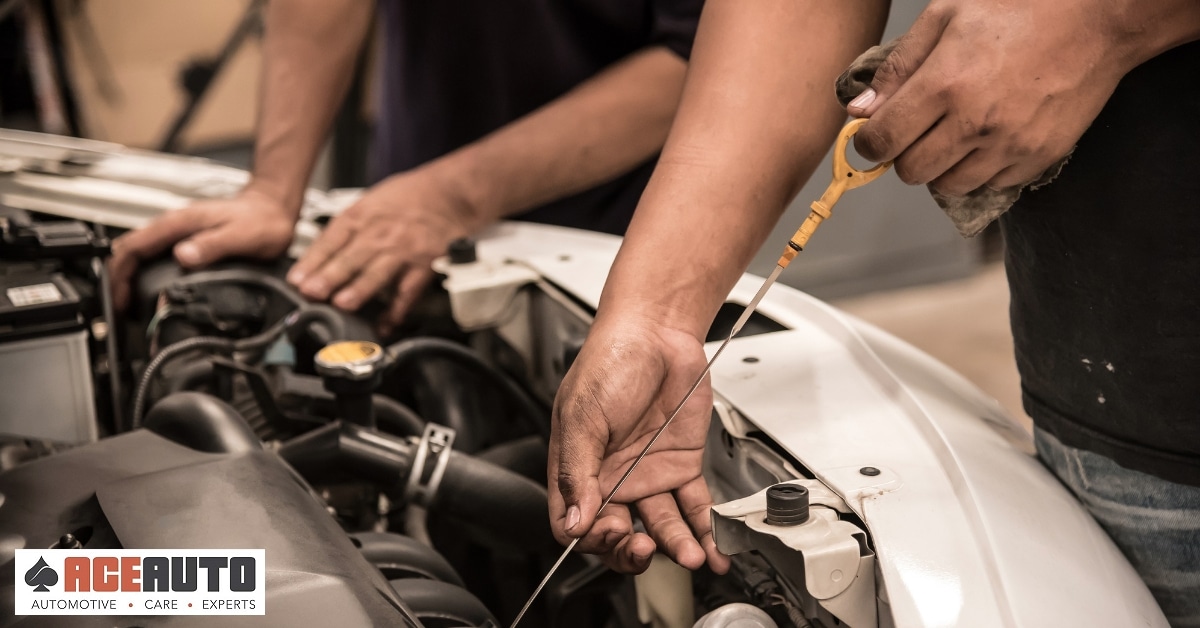 Checking the Oil - Ace Auto Repair Utah